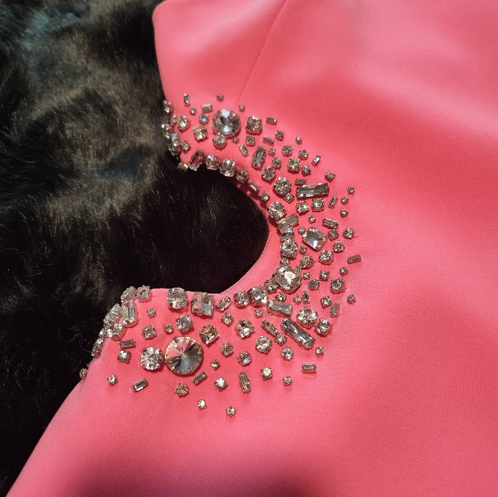 A.L.C. Skye Crystal Embellished Dress in Grapefruit - Picture 7 of 10